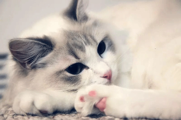 1501839909377486.gif fgdhrtf.gif